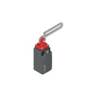 Краен изключвател с лост с продълговат отвор, Pizzato FM 21C1