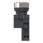 Цялостен светещ бутон, Easy Harmony XA2, пластмасова глава, 22 mm, червен, 1NO, AC/DC 24V, пружинно връщане, Schneider Electric XA2AW34B1