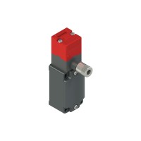 Safety switch with manual mechanical delay, Pizzato FD 21R2-L10M2