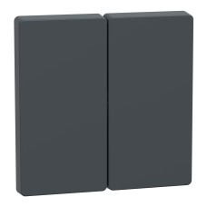 Капак за ключ 2 модула, антрацит, System Design, Schneider Electric MEG3400-6034