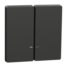 Капак за двоен ключ, Merten System Design, с индикаторно прозорче, антрацит, Schneider Electric MEG3420-6034