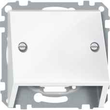 Наклонен излаз, полярно бяло, гланц, System M, Schneider Electric 464919