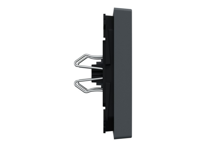 Капак за ключ със символ Осветление, Merten System M, антрацит, Schneider Electric MEG3302-0414