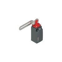 Краен изключвател с лост с продълговат отвор, Pizzato FM 22C3