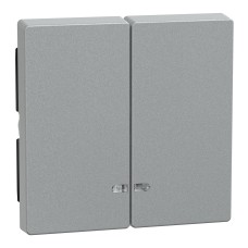 Капак за ключ, Merten System M, 2-gang с индикаторно прозорче, алуминий, Schneider Electric MEG3420-0460