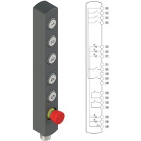 Команден модул (бутониера), Pizzato BN AC6ZA33 BN series