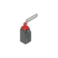 Краен изключвател с лост с продълговат отвор, Pizzato FR 6C1-M2