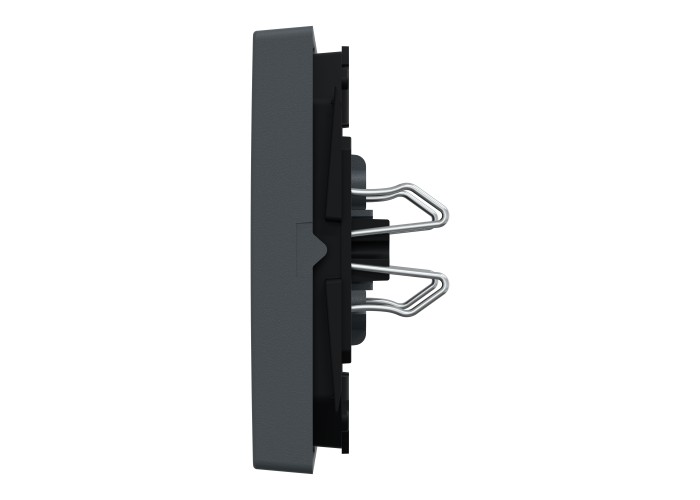 Капак за сериен ключ, антрацит, System M, Schneider Electric 433514