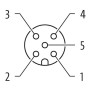 Конектор M12 Женски 0° with cable, PVC-JB 5x0,34 black UL, CSA, 8m, Murrelektronik 7000-12241-6150800