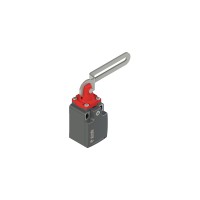 Краен изключвател с лост с продълговат отвор, Pizzato FK 33C1