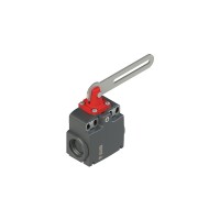 Краен изключвател с лост с продълговат отвор, Pizzato FX 33C4