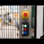 Schneider Electric XB5AG21 - Harmony XB5 - Селекторен превключвател с ключ 455, пластмаса, черен, 22мм, 2 позиции, със задържане, 1 NO
