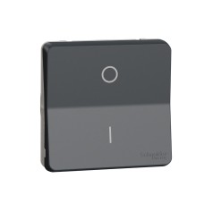 Двуполюсен ключ, антрацит, Mureva Styl, Schneider Electric MUR35034
