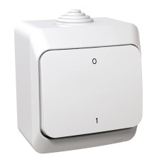 Двуполюсен ключ, 16AX, бял, Cedar Plus, Schneider Electric WDE000520