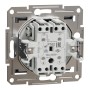 Schneider Electric EPH1100162 - Asfora - Двоен еднополюсен бутон - 10A безвинтов монтаж, Стомана