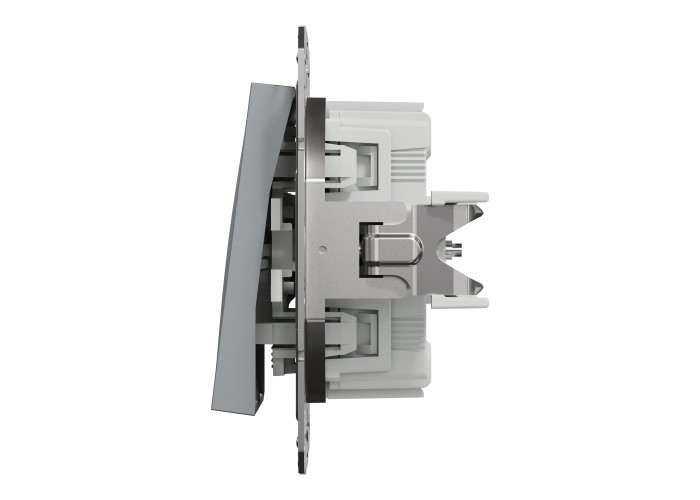 Schneider Electric EPH1100162 - Asfora - Двоен еднополюсен бутон - 10A безвинтов монтаж, Стомана