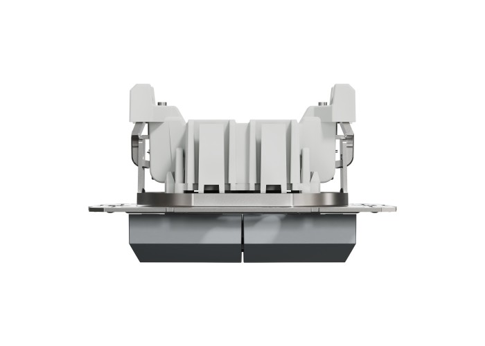 Schneider Electric EPH1100162 - Asfora - Двоен еднополюсен бутон - 10A безвинтов монтаж, Стомана