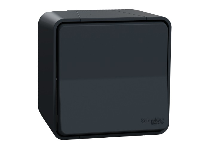 Девиаторен ключ за открит монтаж, антрацит, Mureva Styl, Schneider Electric MUR35021