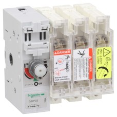 Schneider Electric GS2FG3 - TeSys GS - Мощн. разединител - 3 P - 50A - NFC 14 x 51 mm