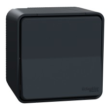 Девиаторен ключ за открит монтаж, антрацит, Mureva Styl, Schneider Electric MUR35021