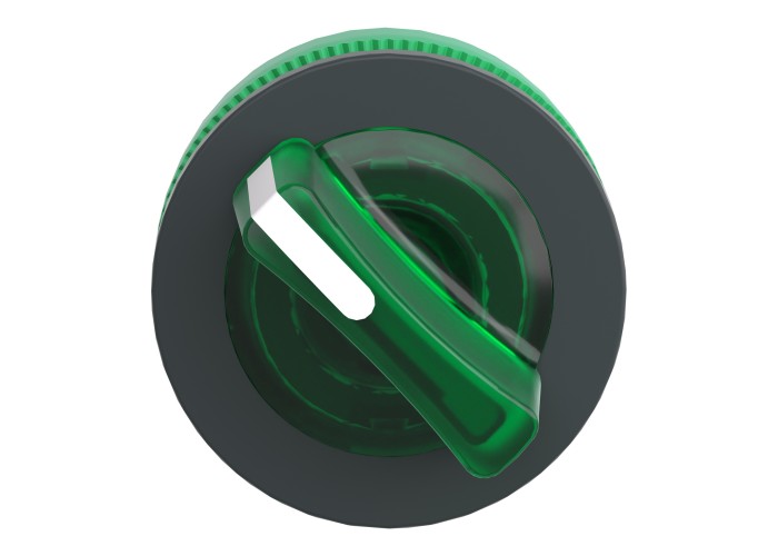 Осветена глава за вграден превключвател, зелен 2 позиции, Schneider Electric ZB5FK1233 Harmony XB5