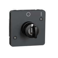 Превключвател с ключ, 2-позиционен, антрацит, Mureva Styl, Schneider Electric MUR35062